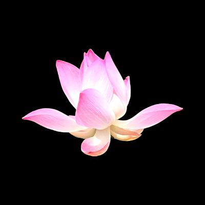 Ơn em thơ dại