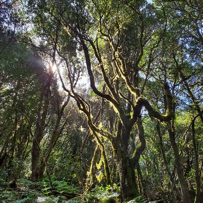 Episode 18 - La Gomera, Pläne ändern sich