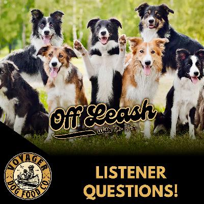 Listener Questions!