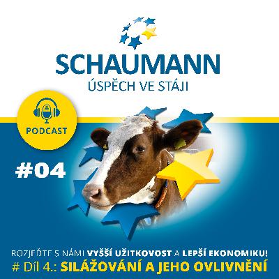 #Díl 4.: Schaumann - SILÁŽNÍ PROCES A JEHO OVLIVNĚNÍ