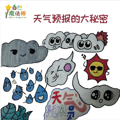 【亲亲自然】天气预报的大秘密