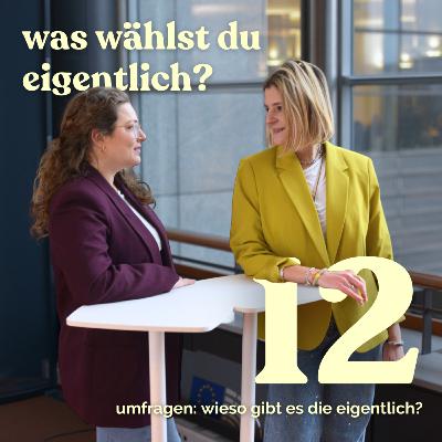 EU edition | umfragen: wieso gibts die eigentlich? EU edition | umfragen: wieso gibts die eigentlich?