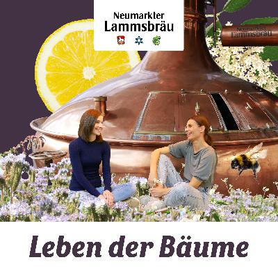 Das geheime Leben der Bäume mit Peter Wohlleben