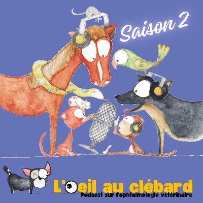 Bande annonce de la saison 2 Bande annonce de la saison 2