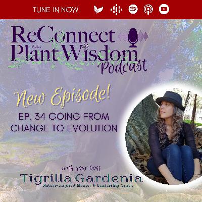 Ep.34 Going From Change To Evolution | Greater Complexity Ep.34 Going From Change To Evolution | Greater Complexity
