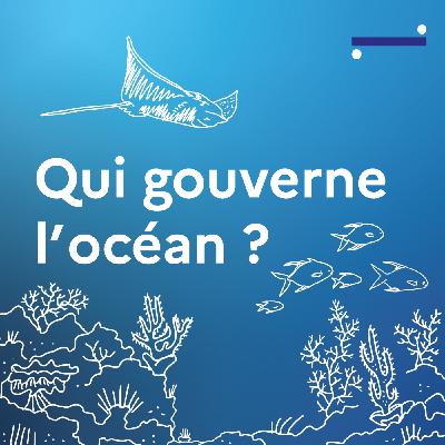 Qui gouverne l'océan ? · 3/5