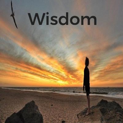 Wisdom Above Fear Wisdom Above Fear