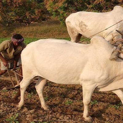 Just taking the time to Gaze