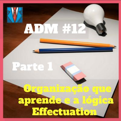 ADM#12- Organização que aprende e a lógica Effectuation (Parte 1)