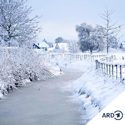 Extremes Winterwetter