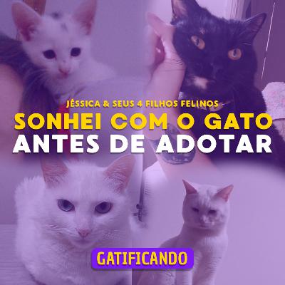 Sonhei com o meu primeiro gato - (Jéssica, Carlos, Meilin, Lorelei, JK & Sarah Luiza) Gatificando #35