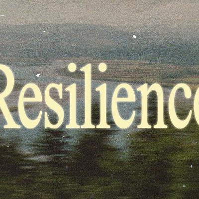 Resilience | Kristy Drake