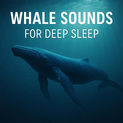 Whale Sounds for Deep Sleep 🌊 | Relaxing Ocean Ambience for Peaceful Rest