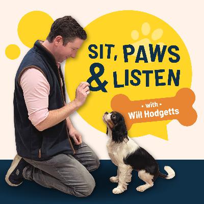 The Hairy Truth About Dog Grooming with Kian Griffiths