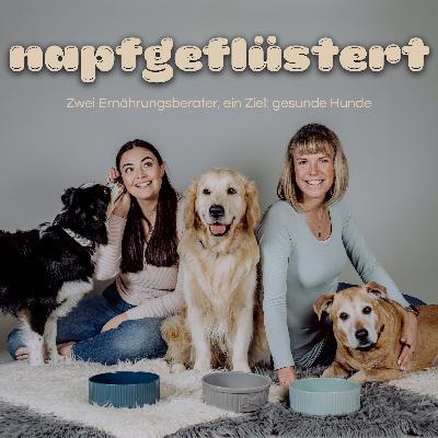 Hilfe, mein Hund frisst nicht! Hilfe, mein Hund frisst nicht!