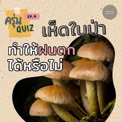 EP.4 เห็ดในป่าทำให้ฝนตกได้หรือไม่ EP.4 เห็ดในป่าทำให้ฝนตกได้หรือไม่