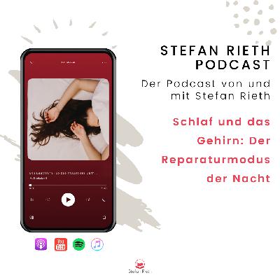 Schlaf und das Gehirn: Der Reparaturmodus der Nacht