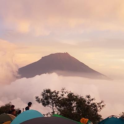 Hai, pejuang!