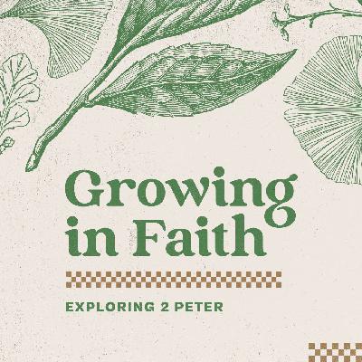 Growing In Faith Series: Working While You Wait