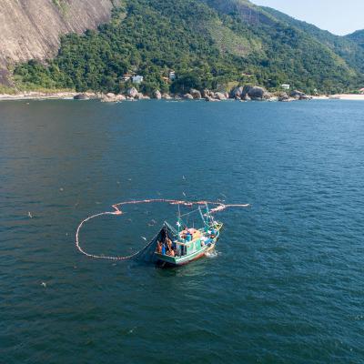 Pesca Predatória