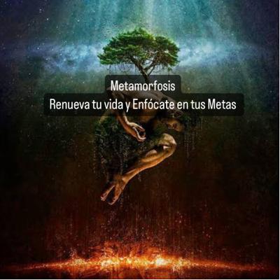 Metamorfosis: Renueva tu Vida y Enfócate en tus Metas