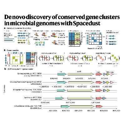 319-Spacedust: Discovery of Conserved Gene Clusters 319-Spacedust: Discovery of Conserved Gene Clusters
