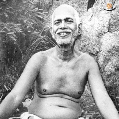 608. Awareness Meditation - Gems from the Past 608. Awareness Meditation - Gems from the Past
