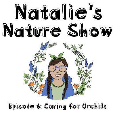 Episode 6 - Caring for Orchids Episode 6 - Caring for Orchids