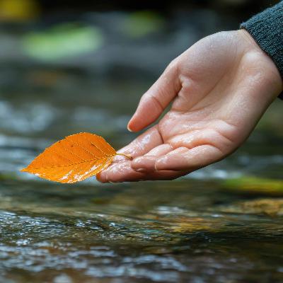221. Letting Go: The Peace in Releasing What is Not Ours