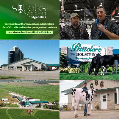 STtalks #355 - Optimiser la santé animale grâce a la technologie Farmfit®: La Ferme Petitclerc partage son expérience avec Maxime Ten-Have et Maxime Petitclerc