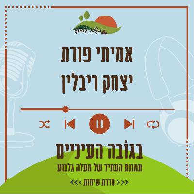 קיבוץ-קהילה: תמונת מצב | אמיתי פורת ויצחק ריבלין