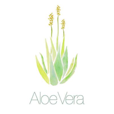 Aloe Vera , The nature’s wonder (Trailer)