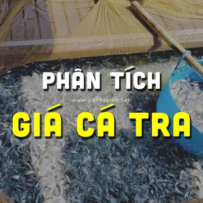 PHÂN TÍCH GIÁ CÁ TRA #ĐBSCL 17/10/2025 & CÁ TRA GIẢM NHƯNG VẪN NEO CAO? #GIATHUYSAN #GIACATRA