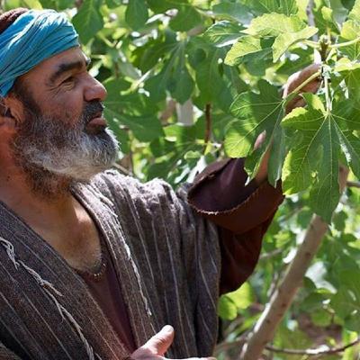 إيه الحكاية | السيسي يفرط في دماء المصريين ويقبض ثمن خيانته إيه الحكاية | السيسي يفرط في دماء المصريين ويقبض ثمن خيانته