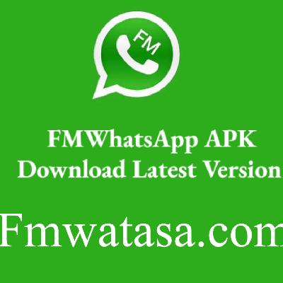 My review of FM Whatsapp apk