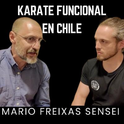 ¿Cómo nace una revolución marcial en el sur de Chile? ¿Cómo nace una revolución marcial en el sur de Chile?