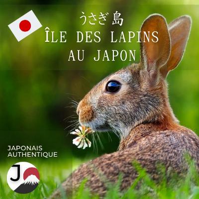 L’expérience d’Anna sur l’île aux lapins au Japon 🐰🇯🇵 アンナのうさぎ島体験
