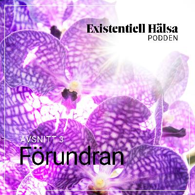 3. Förundran 3. Förundran