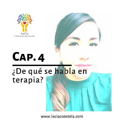 Cap. 4 - ¿De qué se habla en terapia?