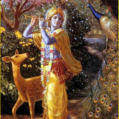 Shri Krishna's name is enough