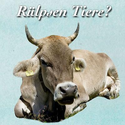 Rülpsen Tiere? Rülpsen Tiere?