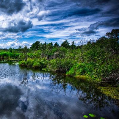 Un Gran Río Que Fluye a Través de Una Jungla | 8 Horas de Ruido Blanco Para Ayudar a Dormir