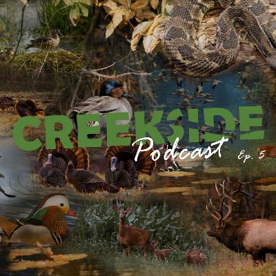 Ep. 5 What's in your turkey vest?