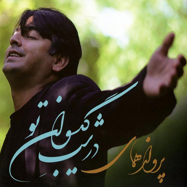 پرواز همای | در شب گیسوان تو