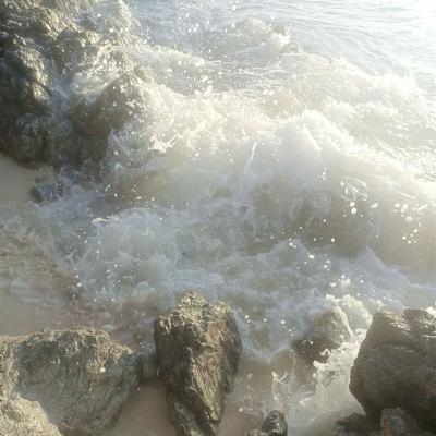 🌑 New Moon in Cancer ♋️ Guided Meditation 🌊✨ 🌑 New Moon in Cancer ♋️ Guided Meditation 🌊✨