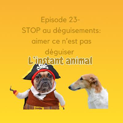 #23 STOP aux déguisements ! L'aimer ce n'est pas le déguiser et encore moins le teindre ...
