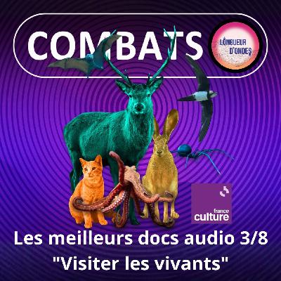S05E79 Festival Longueur d'ondes 3/8 : "Visiter les vivants" par le son (Franck Bessière) S05E79 Festival Longueur d'ondes 3/8 : "Visiter les vivants" par le son (Franck Bessière)