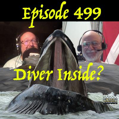 499 - Did a Scuba Diver Really Get Swallowed by a Whale & Why are Pipe Bombs in the Water?