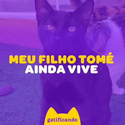 A história de vida do Tomé, nosso filho guerreiro que só deixou amor. #48