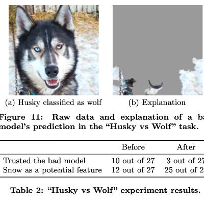 Paper Summary 1 : “Why Should I Trust You?” Explaining the Predictions of Any Classifier (LIME)